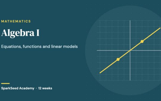 Algebra I course cover